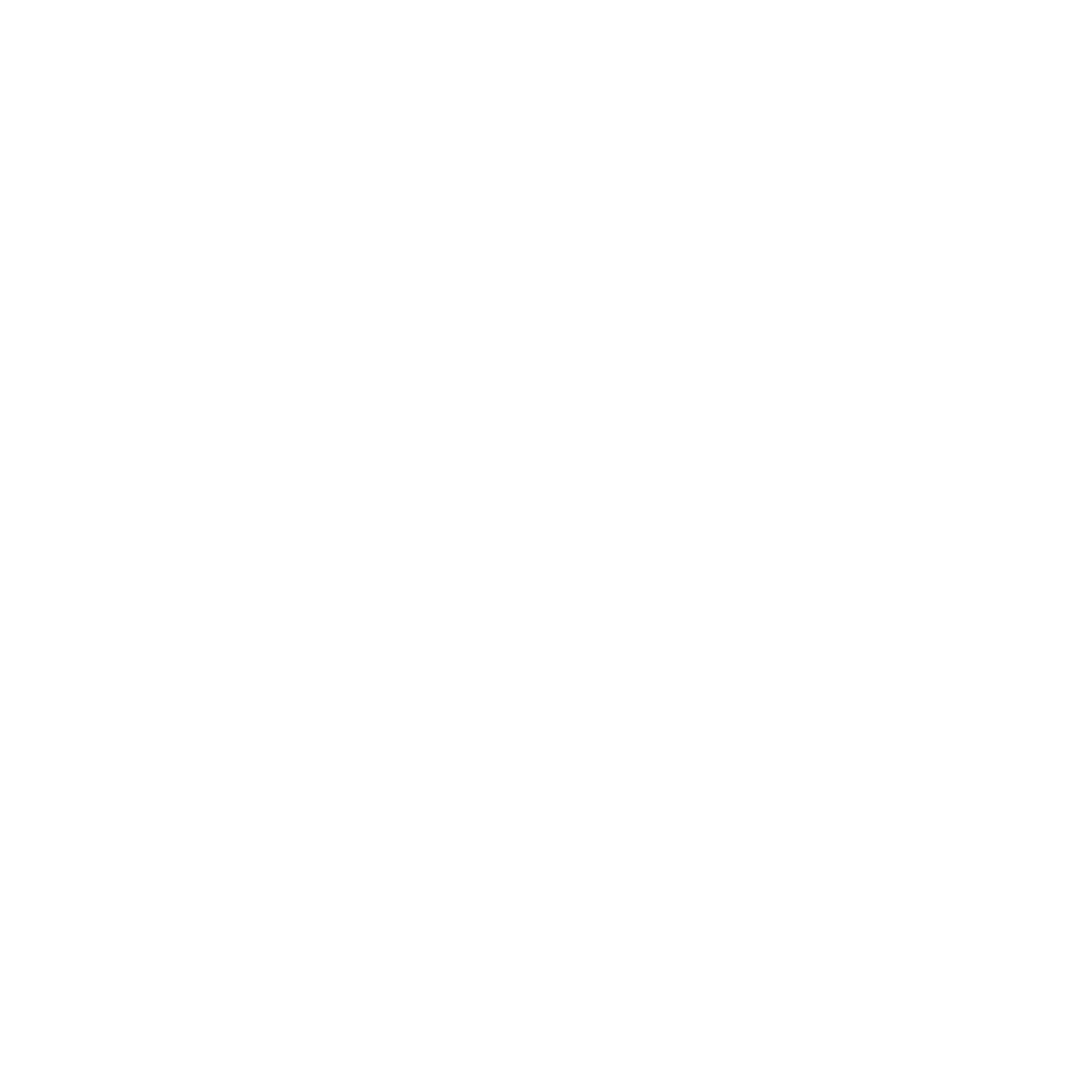 Stonebird Group logo mark